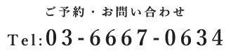 03-6667-0634